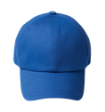 Slvr Basi Cap